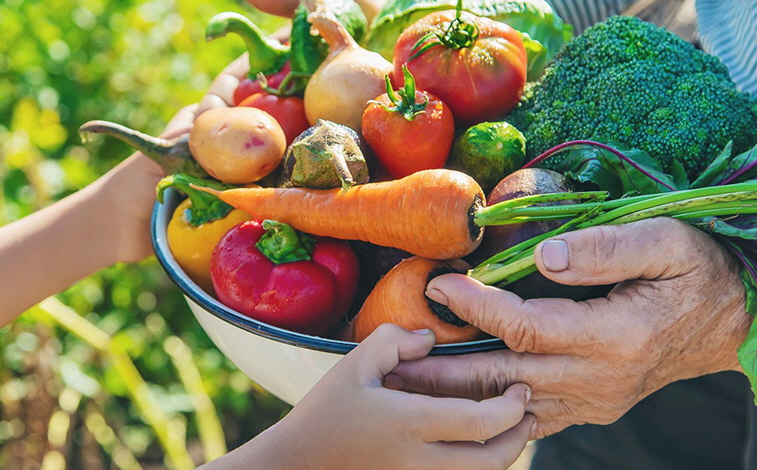 Food Banks Canada is thankful to Canadian farmers for their generosity to local food banks