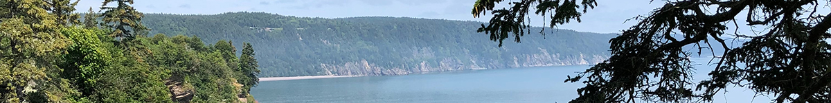 Bay of Fundy, New Brunswick, photo by Bettina Sovatzis, Unsplash