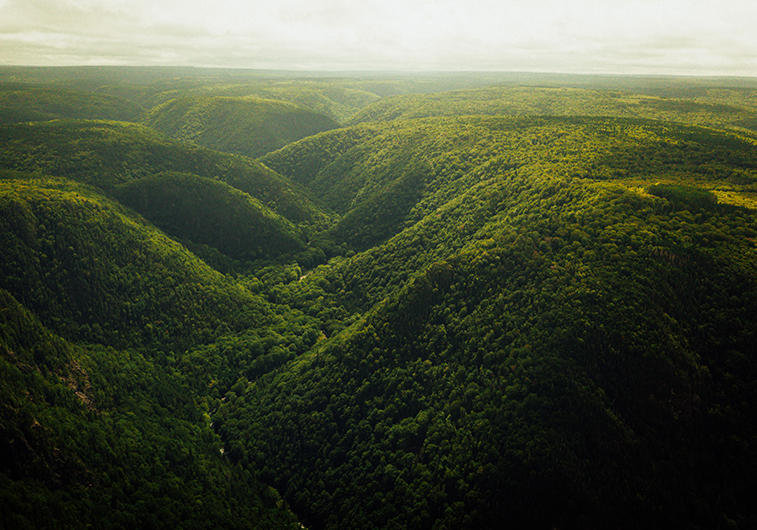 Cape Clear, Inverness, NS | Photo: Tim Foster, Unsplash