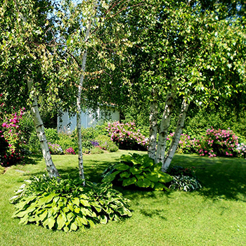 Lorraine Landscaping, Kentville, NS