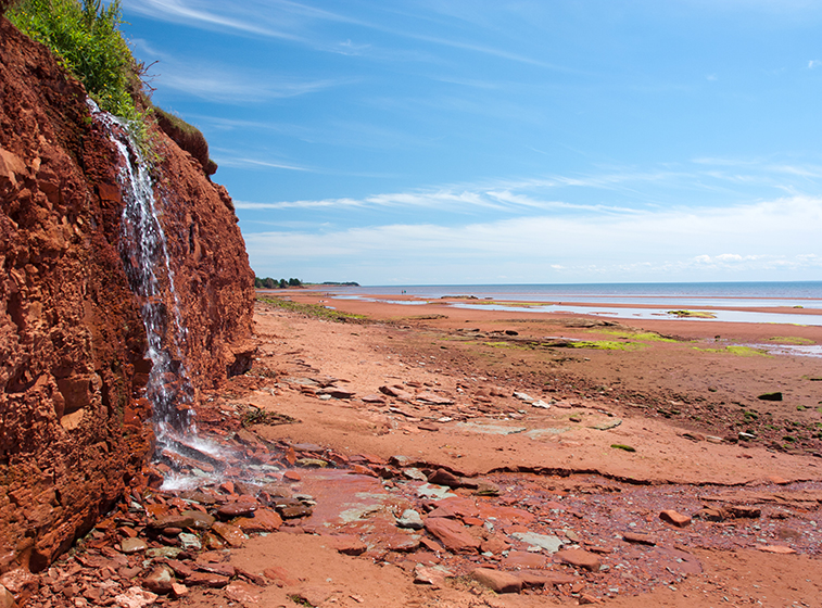 Argyle Shore Provincial Park | Photo: Andrea Schaffer, Wikimedia Commons