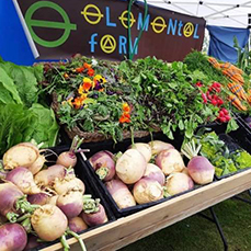 Elemental Farm, Whitehorse, Yukon