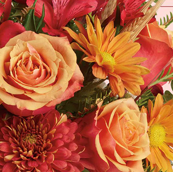 Mann's Floral Shop, Campbellton, New Brunswick