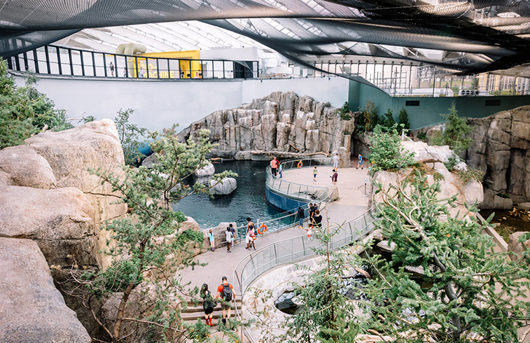 Space for Life Biodome in Montreal, QC | Photo: Mélanie Dusseault