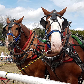 Expo Shawville Fair, Shawville, Québec | Photo: Melissa Joyce
