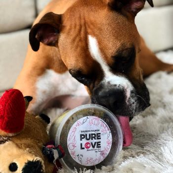 Pure Love Dogfood Laval QC